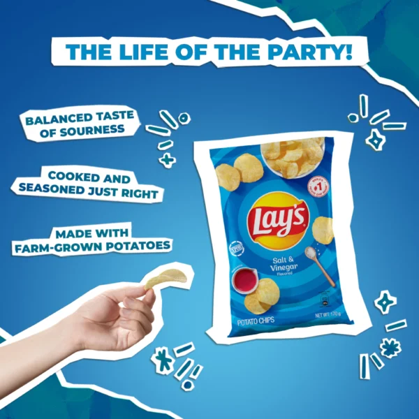 Lay's Salt & Vinegar 170g